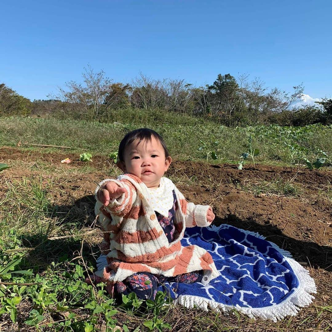 長谷川朋美さんのインスタグラム写真 - (長谷川朋美Instagram)「今日はスタッフファミリー＋葉山で通ってるSPAオーナーのミカコさん連れ出して畑にGO❣️ ・ 写真、虹が出てるのー🌈 凄くないですか？😆 ・ 実は台風の後から放置してたので、 みんなにお手伝いしてもらえて良かった😂 （デカわんこはまだ出張中） ・ ベビたんも土の上でナナと戯れ菌活✨ 小さなうちからいっぱい土に触れて免疫育てるんだぞー❤️ ・ 今日のメニューは👇 ・オクラ撤去 （放置してたらオクラが木になっててびびったww） ・大根の間引き ・土ならし ・白菜とブロッコリーとパセリの苗植え ・ネットかけ ・お隣の友達の畑の手入れを少し ・ 最後は山を下り、山羊のたまちゃんがいる エリアでサラダ摘み🥗 ・ そしてみんなで軽井沢のような素敵な山のカフェで ランチして、楽しくてヘルシーな休日でした☺️ みんな、ありがとうー‼︎ ・ #葉山ライフ　 #hayamalife #農業　 #土いじり #菌活 #レインボー #rainbow」11月4日 18時33分 - hasegawa.elena.tomomi