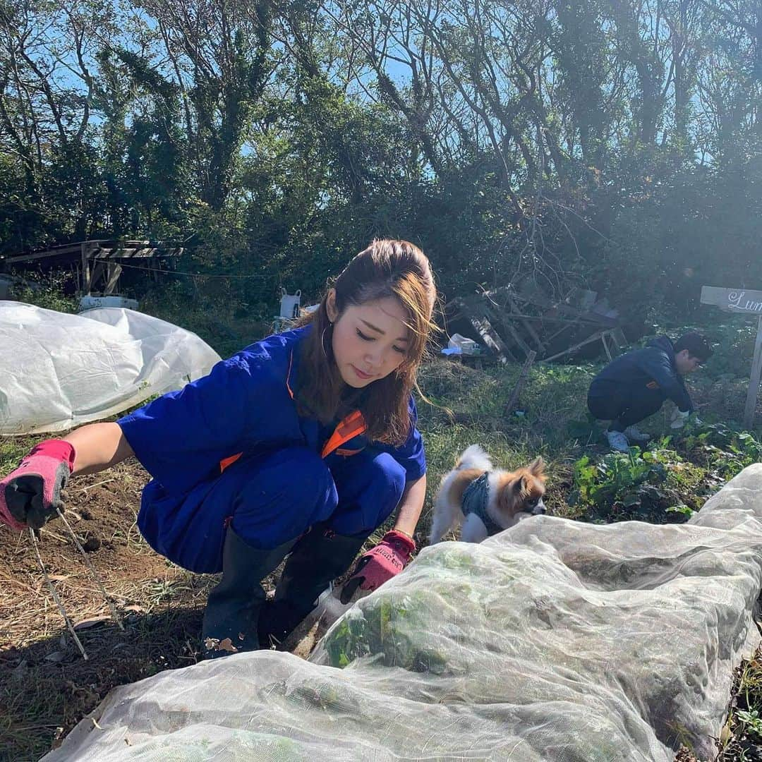 長谷川朋美さんのインスタグラム写真 - (長谷川朋美Instagram)「今日はスタッフファミリー＋葉山で通ってるSPAオーナーのミカコさん連れ出して畑にGO❣️ ・ 写真、虹が出てるのー🌈 凄くないですか？😆 ・ 実は台風の後から放置してたので、 みんなにお手伝いしてもらえて良かった😂 （デカわんこはまだ出張中） ・ ベビたんも土の上でナナと戯れ菌活✨ 小さなうちからいっぱい土に触れて免疫育てるんだぞー❤️ ・ 今日のメニューは👇 ・オクラ撤去 （放置してたらオクラが木になっててびびったww） ・大根の間引き ・土ならし ・白菜とブロッコリーとパセリの苗植え ・ネットかけ ・お隣の友達の畑の手入れを少し ・ 最後は山を下り、山羊のたまちゃんがいる エリアでサラダ摘み🥗 ・ そしてみんなで軽井沢のような素敵な山のカフェで ランチして、楽しくてヘルシーな休日でした☺️ みんな、ありがとうー‼︎ ・ #葉山ライフ　 #hayamalife #農業　 #土いじり #菌活 #レインボー #rainbow」11月4日 18時33分 - hasegawa.elena.tomomi