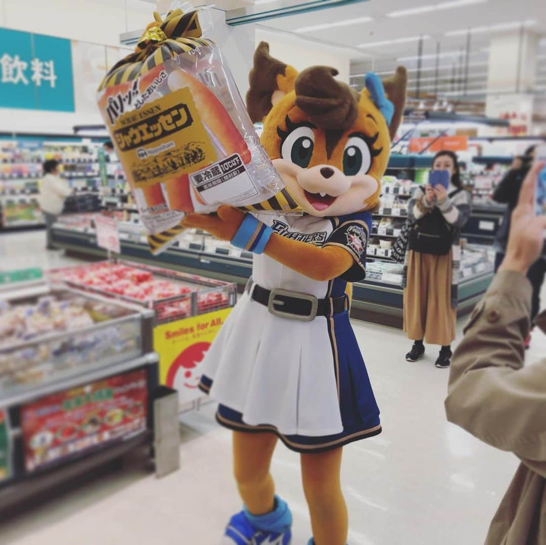 北海道日本ハムファイターズ フレップのインスタグラム