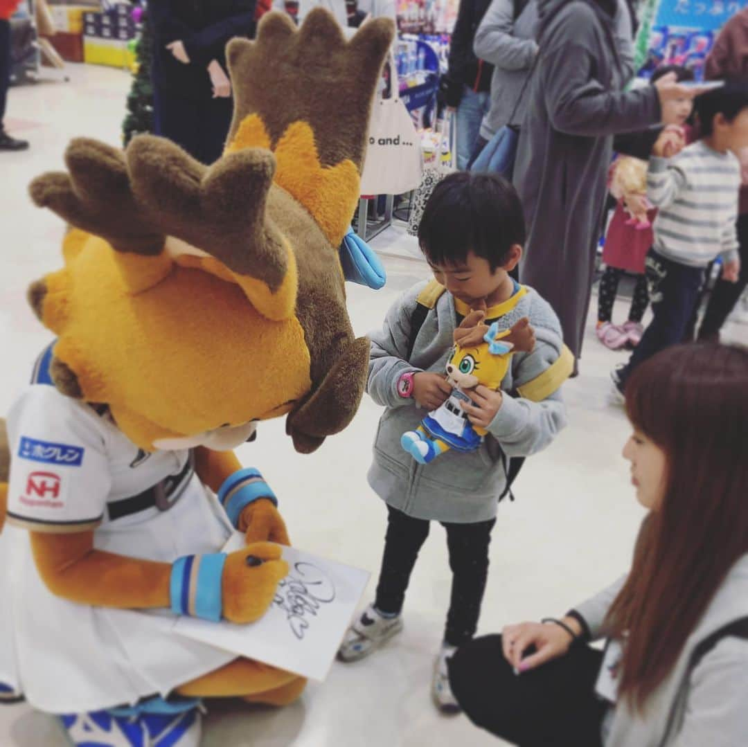 北海道日本ハムファイターズ フレップさんのインスタグラム写真 - (北海道日本ハムファイターズ フレップInstagram)「⭐️日本ハムPresentsポリーが行く！ファイターズ応援感謝キャラバン⭐️ ・ 三日間が終了しました〜！ 会いに来てくれたみなさんどうもありがとう💗 久々に球場の外でたくさんの笑顔を見ることができて、 ポリーも嬉しかった！ 道外からだったり、道内でもかなり遠方からはるばる会いに来てくれた方もいて、いつも応援してくれているみなさんには本当に感謝感謝です😊 予想よりも多くの方がAEONに足を運んでくれたのでスタッフの皆さんも驚いてたよ〜😆 みんなからもらったお手紙、大切に読ませてもらうからね✨ 今回会えなかった人たちもまた会える日をポリー楽しみにしているからね😉 ・ 次にみんなに会えるのはファンフェスティバルかな？？ でもときどきまた代筆するね〜🐿💕 (代筆ぽりぃ) 🍀 ❤️ 🍀 ❤️ #lovefighters #驀進 #飛び出せ新時代  #女子マスコットも推され隊  #シャウエッセン #ポリーポラリス　は #シャウエッセンチーズ  がお気に入り #チキチキボーン　も #美味しいよね♡ #みんなのお気に入りはなにかな？ #朝晩グッと冷え込んできたから #あたたかくして過ごしてね #家に帰るまでがポリ活です #また会おうね☺︎ #AEON滝川店 #AEONMALL札幌発寒 #AEONMALL苫小牧　のみなさんも #ありがとうございました♡」11月4日 18時41分 - frep_the_fox