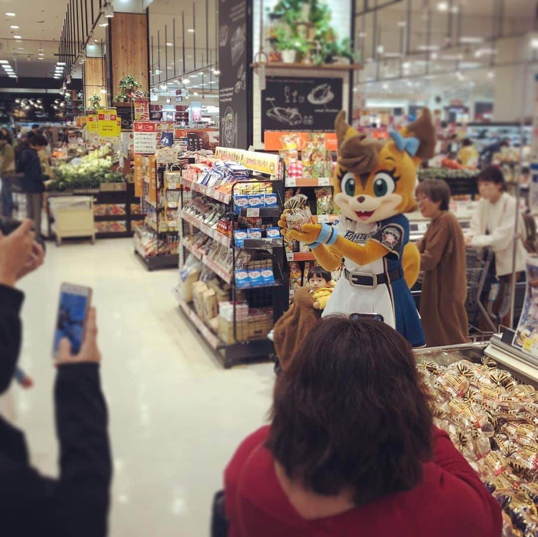 北海道日本ハムファイターズ フレップさんのインスタグラム写真 - (北海道日本ハムファイターズ フレップInstagram)「⭐️日本ハムPresentsポリーが行く！ファイターズ応援感謝キャラバン⭐️ ・ 三日間が終了しました〜！ 会いに来てくれたみなさんどうもありがとう💗 久々に球場の外でたくさんの笑顔を見ることができて、 ポリーも嬉しかった！ 道外からだったり、道内でもかなり遠方からはるばる会いに来てくれた方もいて、いつも応援してくれているみなさんには本当に感謝感謝です😊 予想よりも多くの方がAEONに足を運んでくれたのでスタッフの皆さんも驚いてたよ〜😆 みんなからもらったお手紙、大切に読ませてもらうからね✨ 今回会えなかった人たちもまた会える日をポリー楽しみにしているからね😉 ・ 次にみんなに会えるのはファンフェスティバルかな？？ でもときどきまた代筆するね〜🐿💕 (代筆ぽりぃ) 🍀 ❤️ 🍀 ❤️ #lovefighters #驀進 #飛び出せ新時代  #女子マスコットも推され隊  #シャウエッセン #ポリーポラリス　は #シャウエッセンチーズ  がお気に入り #チキチキボーン　も #美味しいよね♡ #みんなのお気に入りはなにかな？ #朝晩グッと冷え込んできたから #あたたかくして過ごしてね #家に帰るまでがポリ活です #また会おうね☺︎ #AEON滝川店 #AEONMALL札幌発寒 #AEONMALL苫小牧　のみなさんも #ありがとうございました♡」11月4日 18時41分 - frep_the_fox