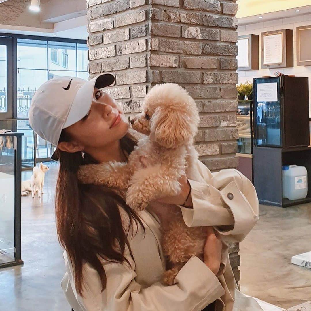 シン・セギョンのインスタグラム：「윤찬이,진국이랑🐶🐶」