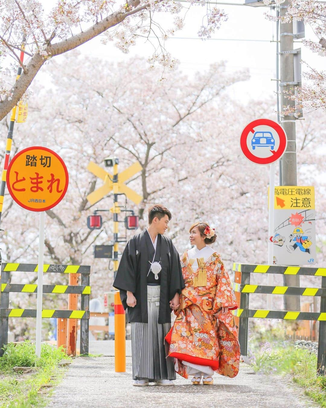 Decollte Wedding Photographyのインスタグラム：「【 Nara 奈良 】Beautiful Cherry Blossom🌸﻿ ﻿ Photographer @n.aoki_tvb ﻿ @studiotvb_nara  @decollte_weddingphoto﻿ @decollte_weddingstyle﻿ ﻿ ﻿ #japan #Nara #cherryblossam #Decolltephotography #weddinginspiration #Weddingphotography #prewedding #weddingphoto #overseasprewedding #japaneseprewedding #japanwedding #landscapephotography #romantic #love #happiness #日本 #奈良 #桜 #海外婚紗 #婚紗 #唯美 #신부 #웨딩 #웨딩사진」