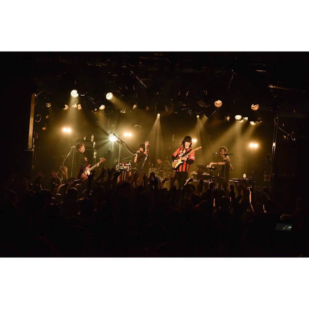 石毛輝さんのインスタグラム写真 - (石毛輝Instagram)「the telephones 2019.1103 Major debut 10th anniversary tour final at SHIBUYA club QUATTRO with ドミコ  ホントに最高のツアーファイナルでした！ありがとう！  てかオーディエンスのみんなハンパなかったから！ 1曲目からあの盛り上がりはおしっこ漏らすかと思ったよマジで！  ドミコめちゃくちゃかっこよかったし、カバー嬉しかったし、アンコールのセッションも面白かった。 ひかると対バンどころか同じステージで演奏したりする日が来るなんてビックリw 最高の男ですわ。  バンドは素晴らしくて尊い。 って最近いつも以上に思ってる。  来月はZeppワンマン。 今のテレフォンズをたくさんの人に観てほしい。 さぁ、やれんのか〜テレフォンズ！ 北浦和の誇りを持ってぶちかますぜ！！！ . . . photo by 河本悠貴 . . . #thetelephones  #ドミコ」11月4日 20時03分 - akiraishige