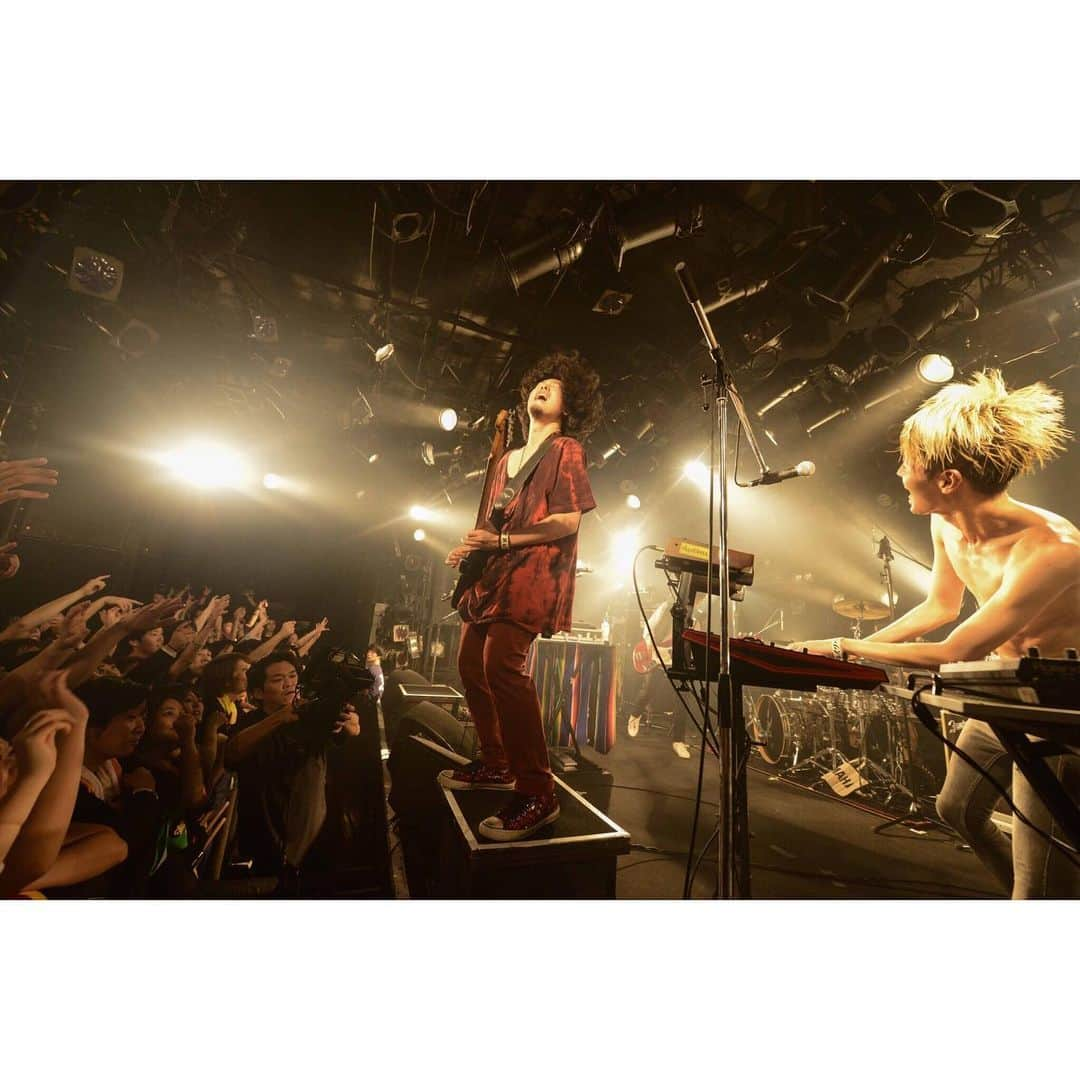 石毛輝さんのインスタグラム写真 - (石毛輝Instagram)「the telephones 2019.1103 Major debut 10th anniversary tour final at SHIBUYA club QUATTRO with ドミコ  ホントに最高のツアーファイナルでした！ありがとう！  てかオーディエンスのみんなハンパなかったから！ 1曲目からあの盛り上がりはおしっこ漏らすかと思ったよマジで！  ドミコめちゃくちゃかっこよかったし、カバー嬉しかったし、アンコールのセッションも面白かった。 ひかると対バンどころか同じステージで演奏したりする日が来るなんてビックリw 最高の男ですわ。  バンドは素晴らしくて尊い。 って最近いつも以上に思ってる。  来月はZeppワンマン。 今のテレフォンズをたくさんの人に観てほしい。 さぁ、やれんのか〜テレフォンズ！ 北浦和の誇りを持ってぶちかますぜ！！！ . . . photo by 河本悠貴 . . . #thetelephones  #ドミコ」11月4日 20時03分 - akiraishige