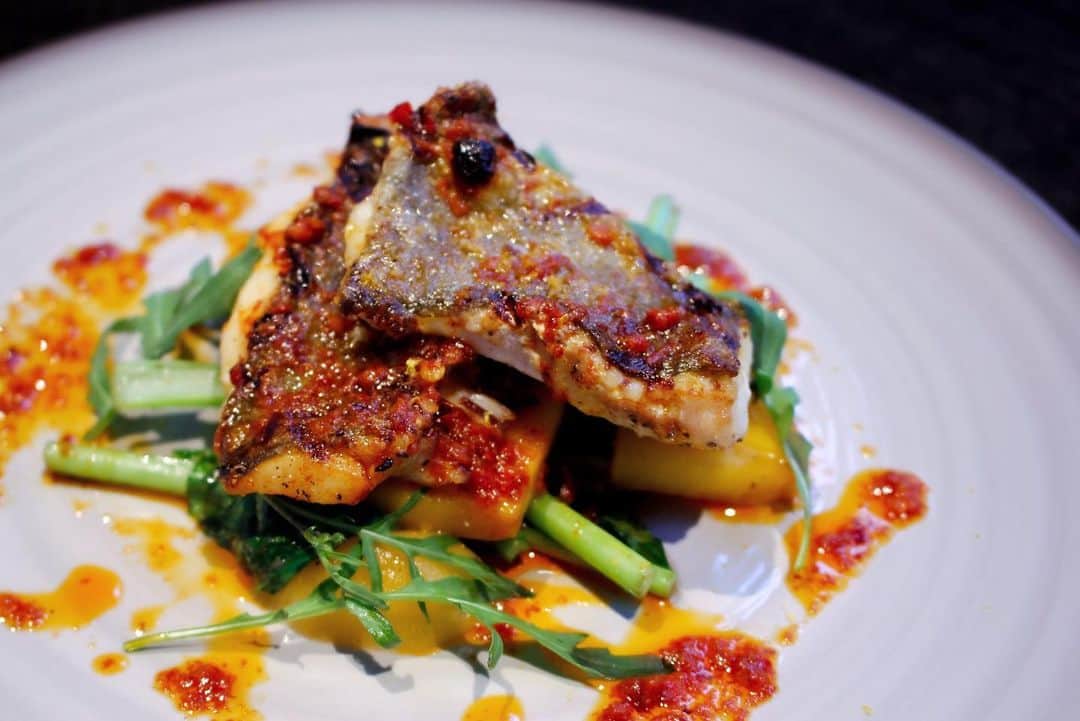 TYSONS&COMPANYのグルメインスタ