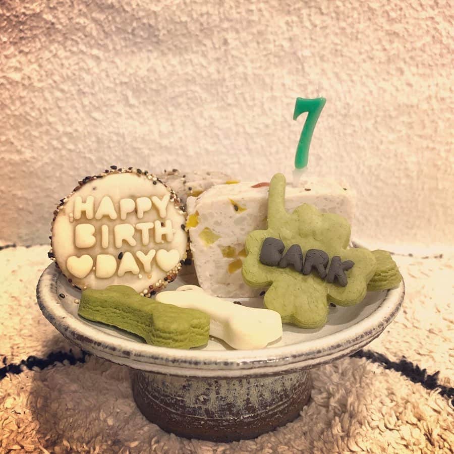 のインスタグラム：「おめでとう🐾 @bark20121102 🐾 お洒落な誕生日になりました🎂 @suui_midori さん！ありがとうございます♪  #親バカ部  #愛犬 #テリーヌ #ミニチュアピンシャー #ミニピン #ミニピンスタグラム  #miniaturepinscher  #minipin #minipinstagram  #犬スタグラム #いぬすたぐらむ  #犬すたぐらむ  #dogstagram  #bark #バーク #犬好きな人と繋がりたい  #犬好きさんと繋がりたい #犬好きと繋がりたい  #犬好き」
