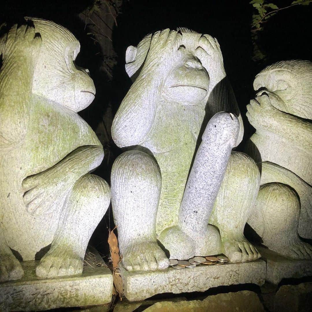 松原タニシさんのインスタグラム写真 - (松原タニシInstagram)「いないいないばあ #猿」11月4日 21時19分 - tanishi_m