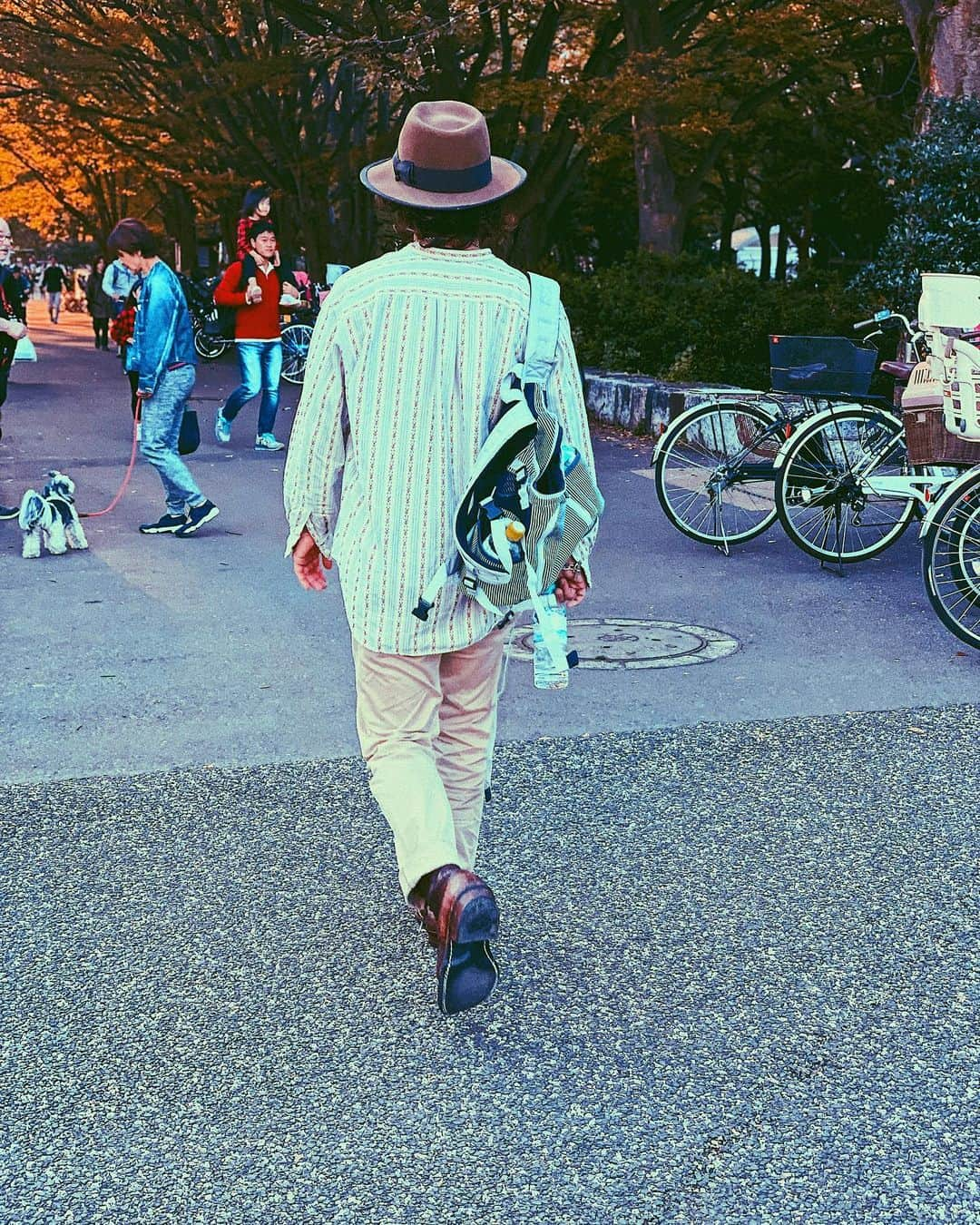 浅野宏明さんのインスタグラム写真 - (浅野宏明Instagram)「犬を連れて公園に行く時は スニーカーでいきましょうね👟  あと夕方からはもう少し厚着しましょうね。  寒くて　縮み上がったよ。 俺の小さなアイツが。  #駒沢公園 #駒沢オリンピック公園 #駒沢 #駒沢カフェ #ドッグラン#チノパン#ブーツ#白山眼鏡 #hat#夕方#夕陽#夕焼け」11月4日 21時26分 - hiro_vaice