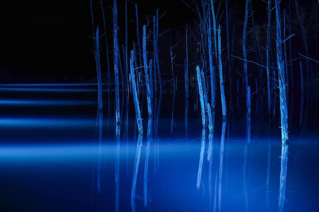 Hikaruのインスタグラム：「Blue pond. . . . 青い池 . .  #instagram #instagramjapan #igersjp #東京カメラ部 #tokyocameraclub #natgeo #sony #bealpha #SonyAlpha #SonyImager #pashadelic #naturephotography #naturegeography #photogrena_nature #photo_shorttrip #japan #hokkaido #写真好きな人と繋がりたい #北海道 #A7RM3 #Japan_ilc #pashadelic_gpc2019 #青い池」