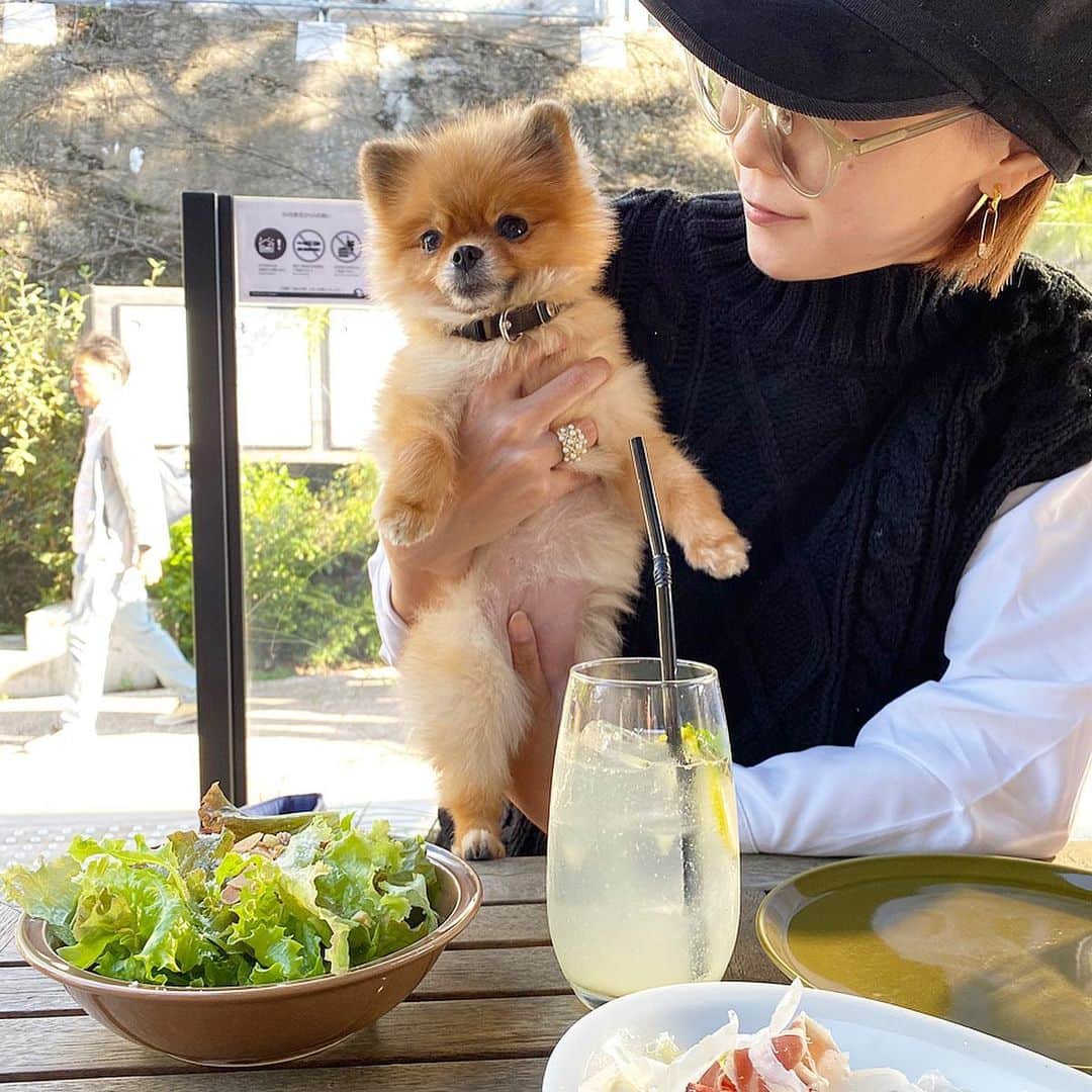 Mika Jimboのグルメインスタ