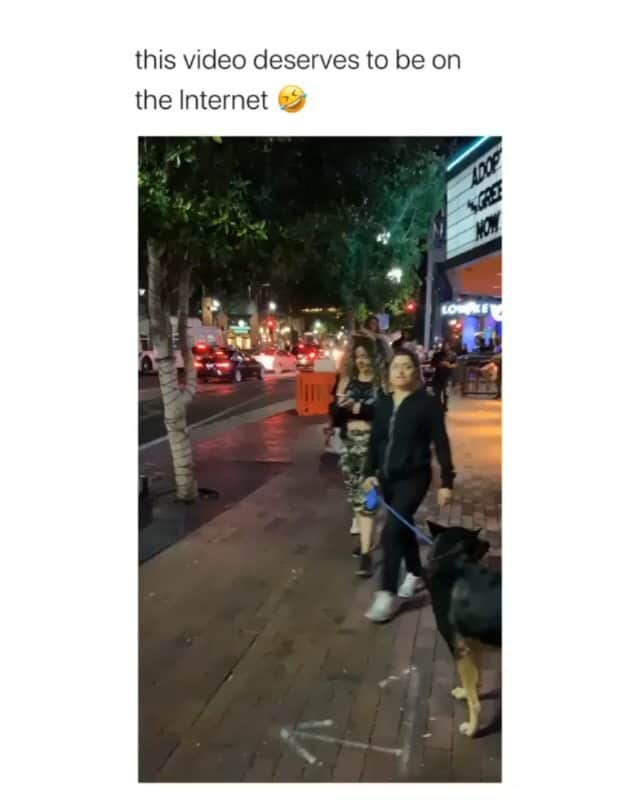 Funny Postsのインスタグラム：「••••••••••• 😂 The best costume ever 💬 Video by: @_haleybaxter 🎥 Double tap for more videos!」
