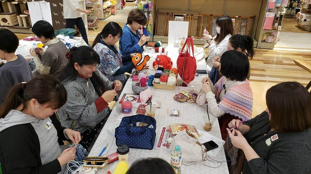 アイパー滝沢さんのインスタグラム写真 - (アイパー滝沢Instagram)「『あみだおれフェス』 『編み物フェスin京都』 二日間参加してくれた、みんなさん！ありがホゥー。またあったらよろしくー。楽しかったから全国各地でワークショップ開催したい気持ちホゥ。 #handmade #knitting #Crochet #ワークショップ #あみだおれ #編みフェス #ドリームコロワ甲子園店 #梅小路公園 #ハマナカアンバサダー #workshop」11月4日 22時46分 - t.aipa