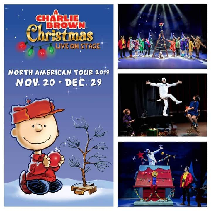 スヌーピーさんのインスタグラム写真 - (スヌーピーInstagram)「The Peanuts Gang will visit more than 50 North American cities this holiday season in @charliebrownchristmaslive, the live stage adaptation of the classic animated television special. General and VIP tickets are on sale now! 🎟️ Visit #linkinbio for more information.  #ACharlieBrownChristmas」11月4日 23時00分 - snoopygrams