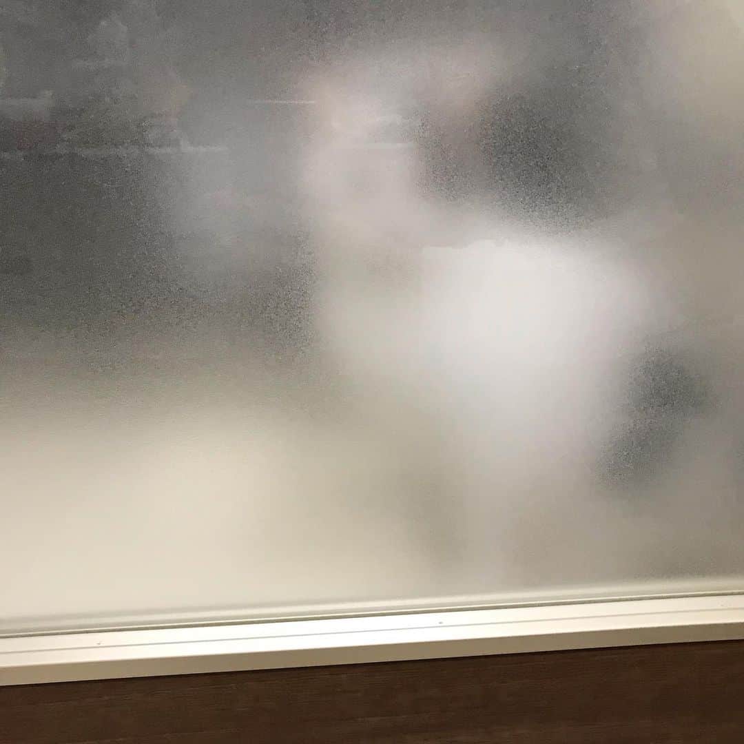 ペギのインスタグラム：「実家に帰るといつもどこからか視線を感じる #すぐ噛む系猫 #抱っこさせない系猫 #ゴロゴロ言わない系猫 #お外に出た事ない系猫 #とても寂しがり屋系猫 #至れり尽くせり系猫」