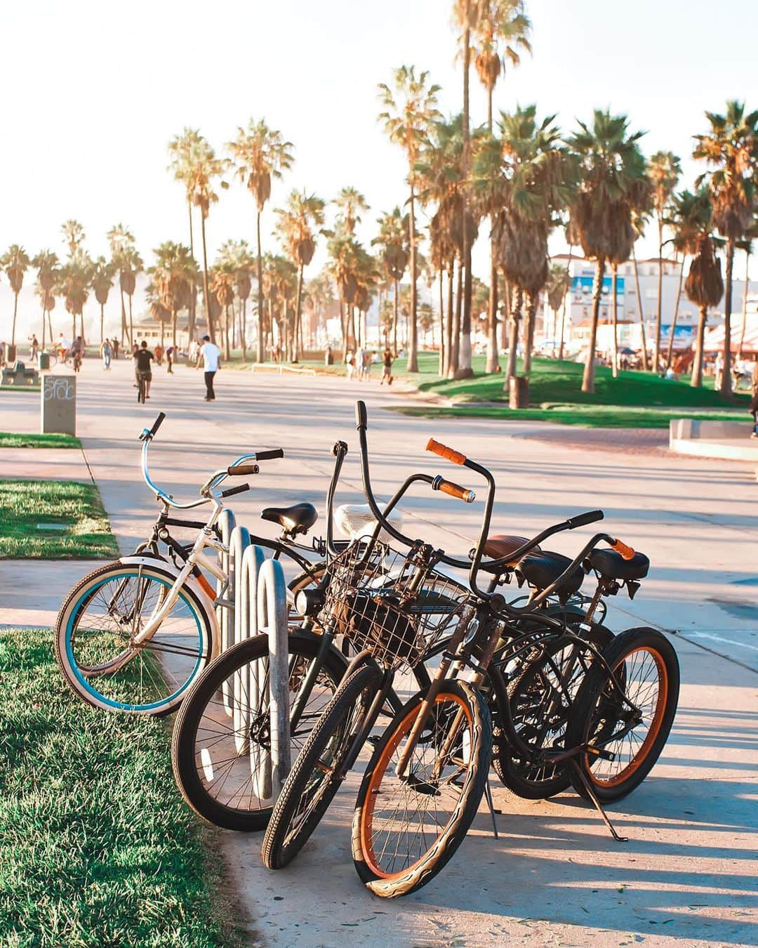 KLMオランダ航空さんのインスタグラム写真 - (KLMオランダ航空Instagram)「Long bike rides along the beaches of Los Angeles are the best! Check our Bucketlist story to read all about it. #KLM #RoyalDutchAirlines #flyKLM」11月4日 23時05分 - klm