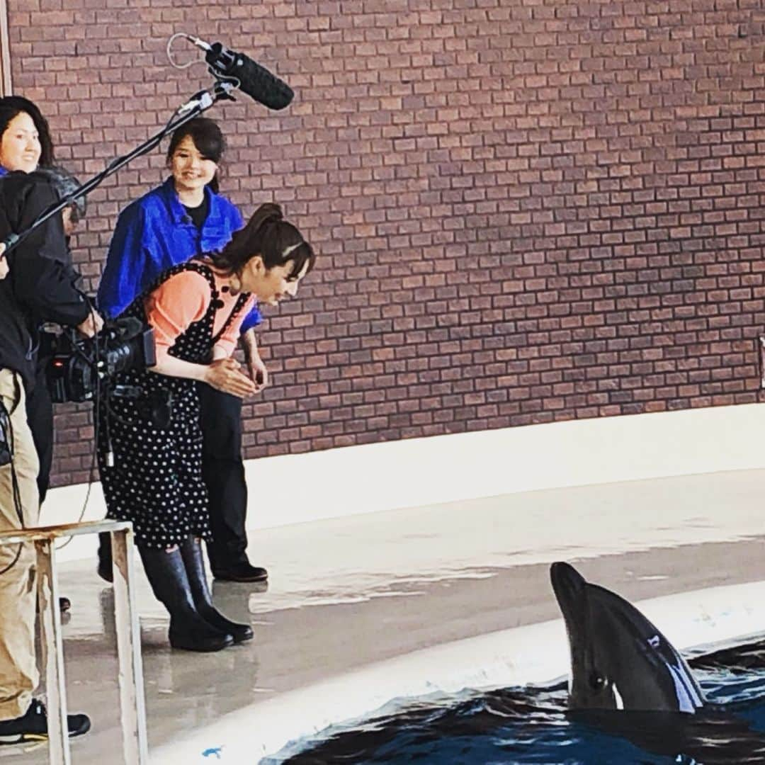 はいだしょうこさんのインスタグラム写真 - (はいだしょうこInstagram)「先日の山口県岩国市ロケにて😊✨ yab百景特番 「はいだしょうこと巡るやまぐち百景の旅」で、 山口朝日放送の八谷英樹アナウンサーさんと、 岩国市から出発して、旅してきました😊✨ タイトルにも名前を入れて頂いて、私の知らない山口を見ることが出来て、知ることが出来て、幸せでした😊✨ 旅の途中で、お世話になった方々、 声をかけて下さった方々、 ありがとうございました😊✨ スタッフの皆さんも、本当にあたたかく、楽しく旅が出来ました☺️✨ はいだしょうこを呼ぼう！と思って下さった事、 八谷アナウンサーさんをはじめ、 スタッフさん達も、皆さん、はじめまして。でしたが、とても楽しく過ごせた事、楽しく過ごせる様にして下さった事に、本当に感謝です☺️✨ やまぐち百景✨ まだまだ素敵な場所があると伺いました😊  また、旅できたら嬉しいです☺️✨ #yab #百景特番 #やまぐち百景の旅 #山口県 #岩国市から出発  #山口朝日放送 #八谷英樹アナウンサー  #素敵な出会い #素敵な景色 #最高だった山口県✨  #地方の番組だいすき😊✨ #出演出来てしあわせ  #ありがとうございました😊✨ #やっぱりイルカがすき😘 #色々な経験をさせて頂ける事✨ #本当に、ありがたいです😌」11月4日 23時48分 - haida_shoko