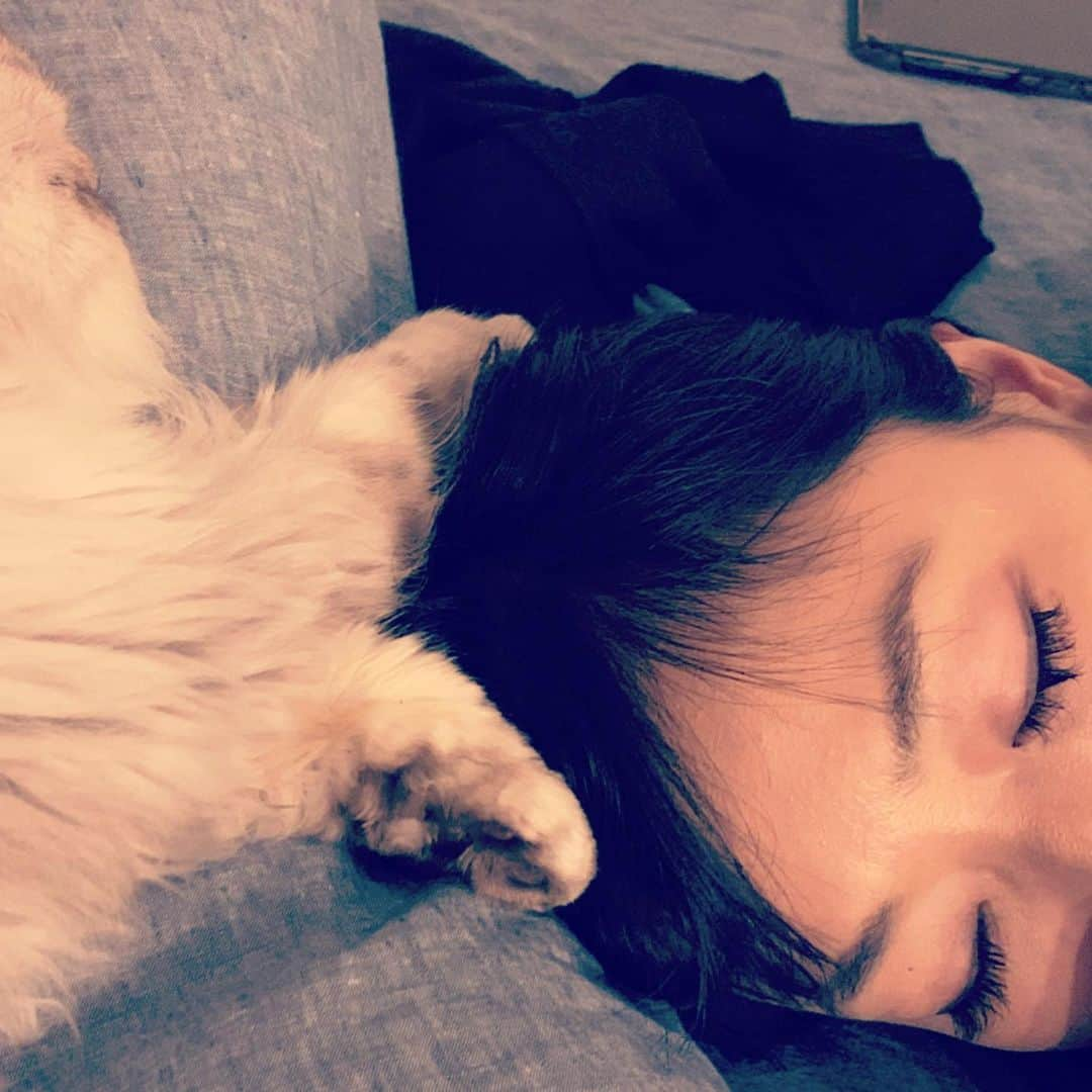 SATOKOさんのインスタグラム写真 - (SATOKOInstagram)「つわりできつくて寝てたら猫に独特の呪文をかけられてた。 #マタニティライフ #magiyoo #selkirkrex #添い寝猫」11月5日 0時15分 - fc_satoko