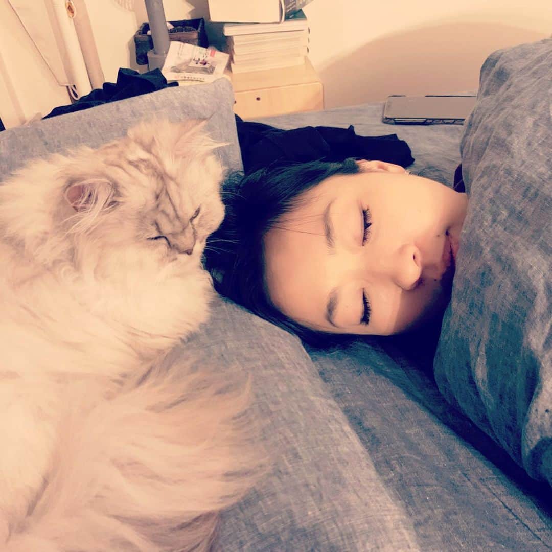SATOKOさんのインスタグラム写真 - (SATOKOInstagram)「つわりできつくて寝てたら猫に独特の呪文をかけられてた。 #マタニティライフ #magiyoo #selkirkrex #添い寝猫」11月5日 0時15分 - fc_satoko