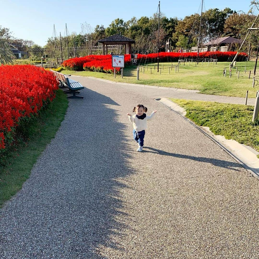 新海史子のインスタグラム