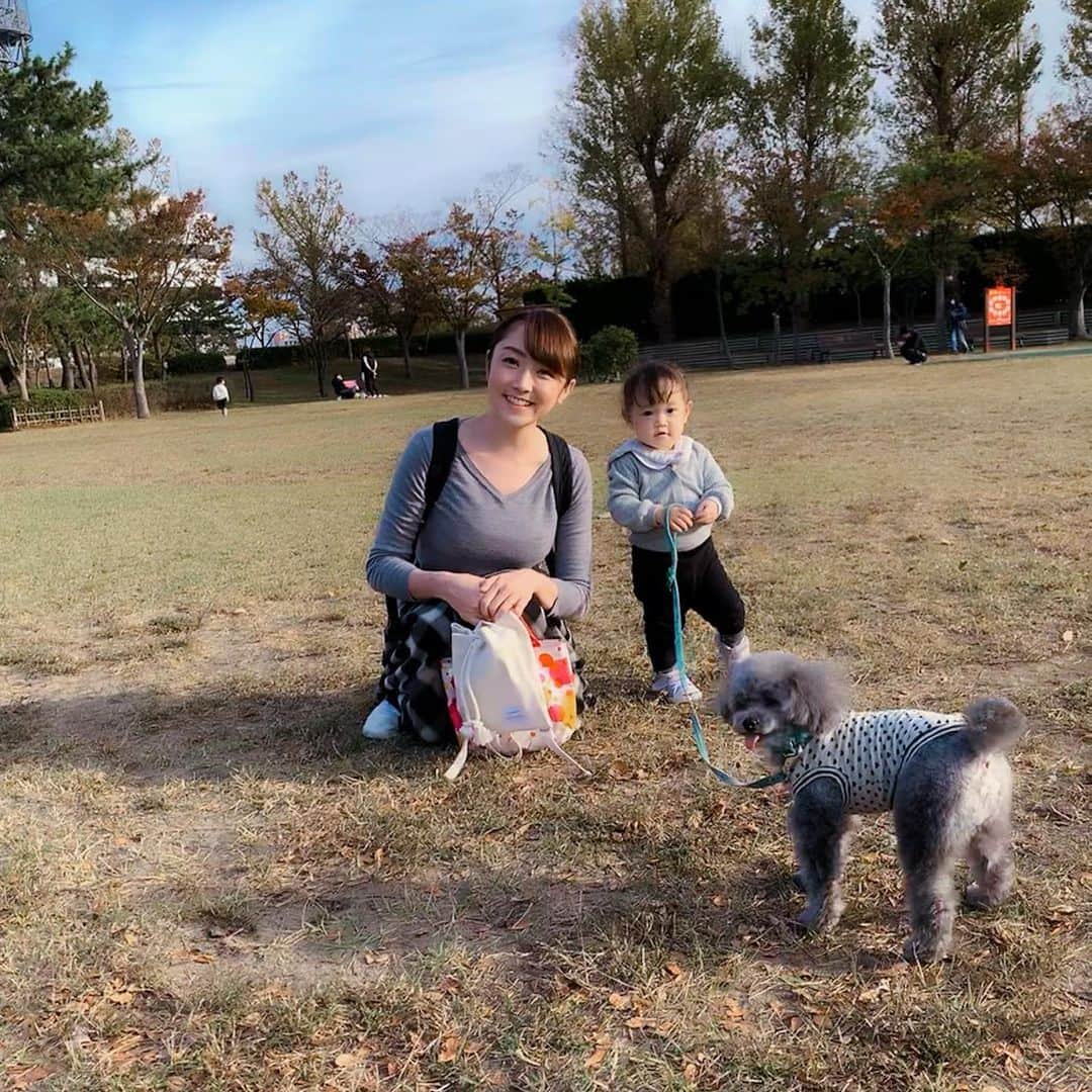 新海史子さんのインスタグラム写真 - (新海史子Instagram)「初めてスーパーの床で駄々こねた記念日。思いのほか早くやってきたし思いのほか恥ずかしい。 乳児期はおとなしいふりしてた人 実はとんでもないおてんばでした。  #今年最後の三連休 #一歳女児 #ひたすら歩くブーム #我が道を行く #束縛は嫌い #自由が好きなの  #ママの手は振り解くのに #犬にはついて行く #私の楽しみはあなたの服に寄せること」11月5日 0時20分 - shinkai.0305