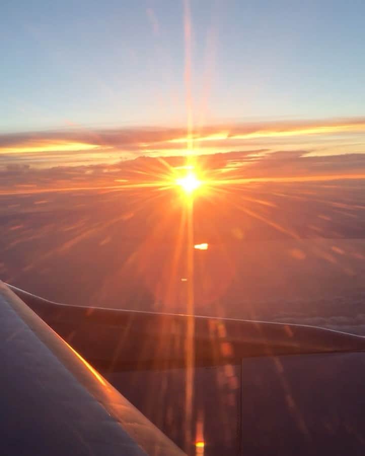 のインスタグラム：「This is why I wanna sit near from the window in the airplane.  #sunset #sunsets #beautifulsunset #sunshine #beautiful #beautifulworld #instatravel #travel #travelvideos #airplane #airplanewindow #window #sky #sky_perfection #orangesky #businesstrip #japantrip #japan #japan_bestsunset #旅 #夕焼け #飛行機 #飛行機の窓から #出張 #一人旅 #空 #上空 #落日 #飛機 #桃園空港から成田空港」