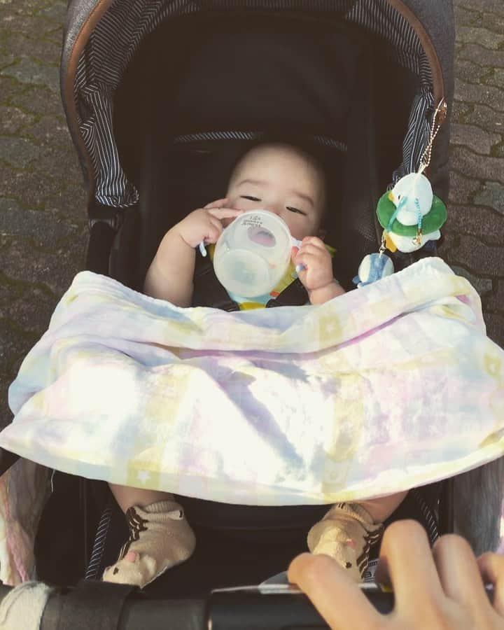 Momoeのインスタグラム：「自然大好きマン🏃‍♀️ みよはジュース自分で飲めるようになったんだぜ🌟 . .  #happy #男の子ベビー #赤ちゃんのいる生活 #赤ちゃん #baby #family #家族 #0歳 #成長記録 #育児記録 #boy #育児 #smile #男の子 #息子 #code #love #kids #子供 #thankyou #宝物 #ベビー #fashion #follow #boy #パパ #ママ #ママ友 #ママ会 #6ヶ月」