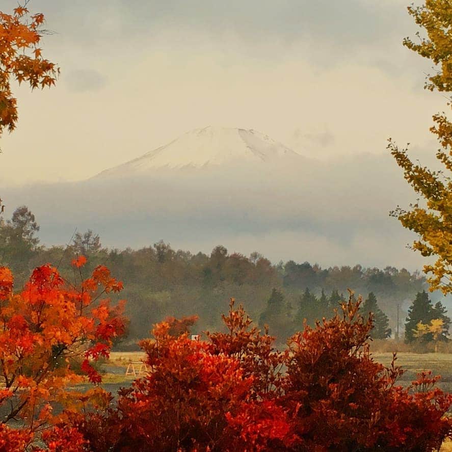 堀内敬子さんのインスタグラム写真 - (堀内敬子Instagram)「連休が終わりました。  お友達家族と、山中湖へキャンプへ。  初心者ファミリーキャンプ。 達人になっていきたいです。 道は遠いですが。 少しずつ⛺  温泉に入ったり、遊んだり。 大満足でした！  #キャンプ」11月5日 12時02分 - horiuchi_keiko