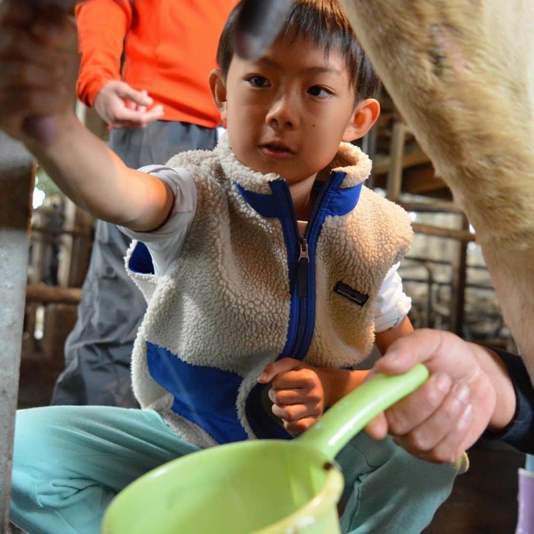 甘糟記子さんのインスタグラム写真 - (甘糟記子Instagram)「日曜日、子供達はデイキャンプへ！！ 埼玉県にある榎本牧場に行きました(=´∀｀)人(´∀｀=) 牧場では、バターを作って食べたり、牛のお世話をた〜くさんして、すごく楽しかったみたい( ^ω^ )  子供16人に引率10人という手厚さで、色んな経験をさせてもらったみたいです。  特に姫なんて、お人形やお友達の妹や弟を相手にお世話をするのが大好きな頃なので、聴診器当てたり、ミルクをあげたり、餌をあげたり、かなりドンピシャで好きな仕事！  デイキャンプのお陰で、沢山の貴重な体験をさせてもらってます！  ありがたいな〜(≧∀≦) #デイキャンプ#榎本牧場#牛のお世話#息子殿姫#息子殿#姫」11月5日 7時19分 - norihey924