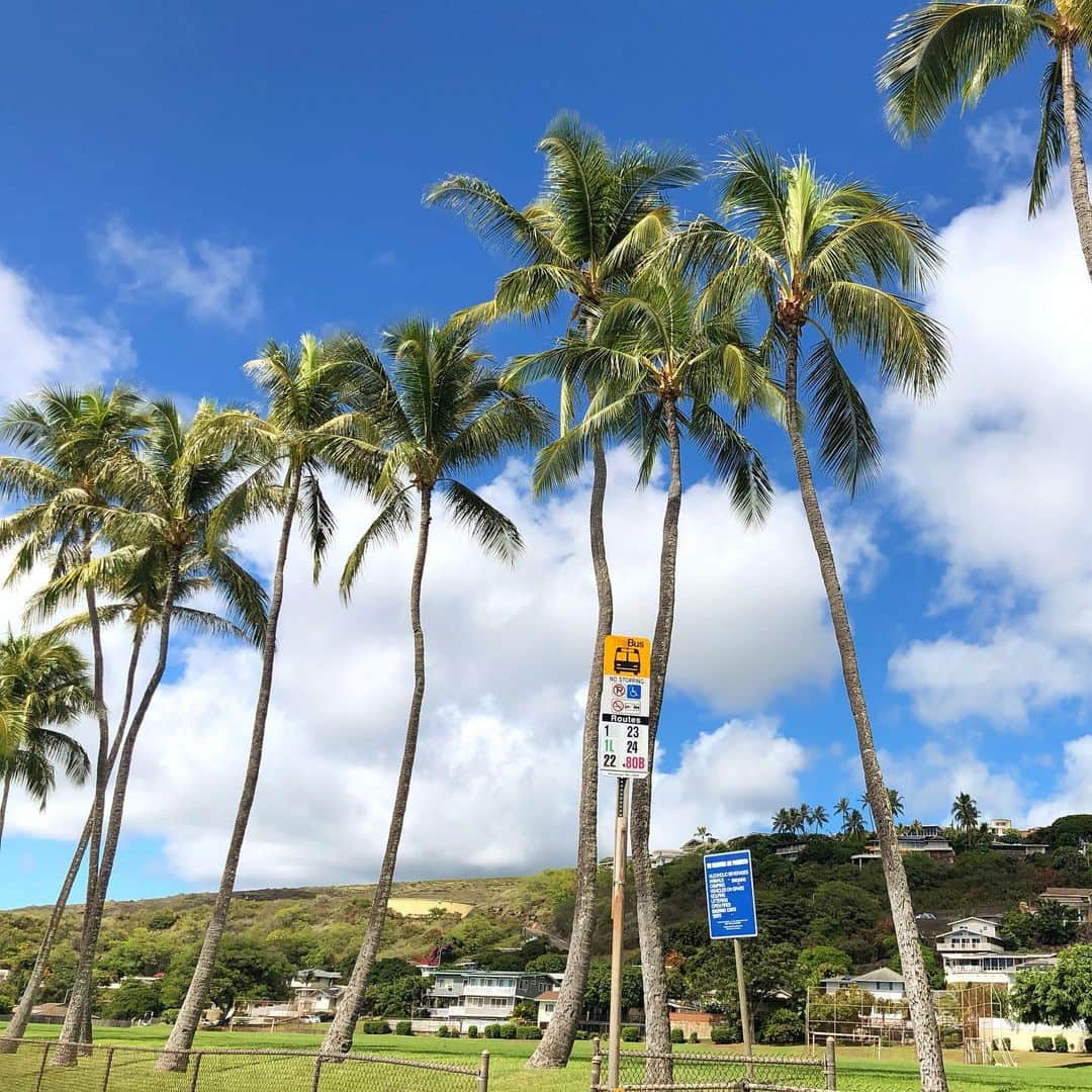 マキ・コニクソンさんのインスタグラム写真 - (マキ・コニクソンInstagram)「うちの近所の公園。ハワイは海とヤシの木と青空の組み合わせもいいけど芝生とヤシの木と青い空のトリオも大好きっ！❤️因みにハワイは山も普通の道までもいいよ！いつも通る道だけど毎日が感動！🥺今日も朝からテンション👍🏼で幸先いいな！😊 #ハワイのおすそ分け🤙🏼 #毎日が感動🥺」11月5日 7時49分 - makikonikson