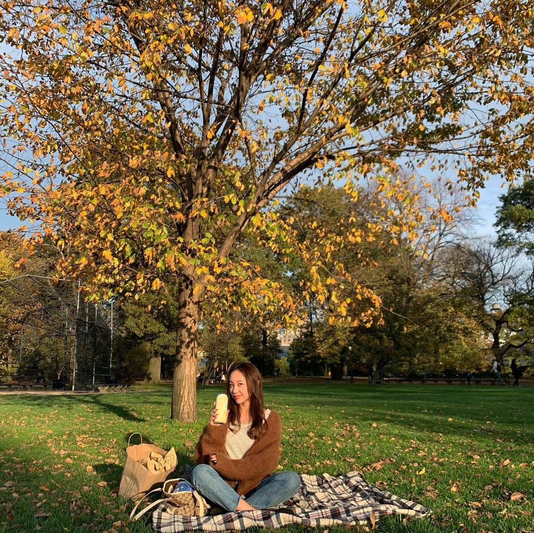 薮下柊さんのインスタグラム写真 - (薮下柊Instagram)「My season 🍂🌾 : #ニューヨーク　#newyork #centralpark #autumn」11月5日 8時42分 - __yabushita_shu__