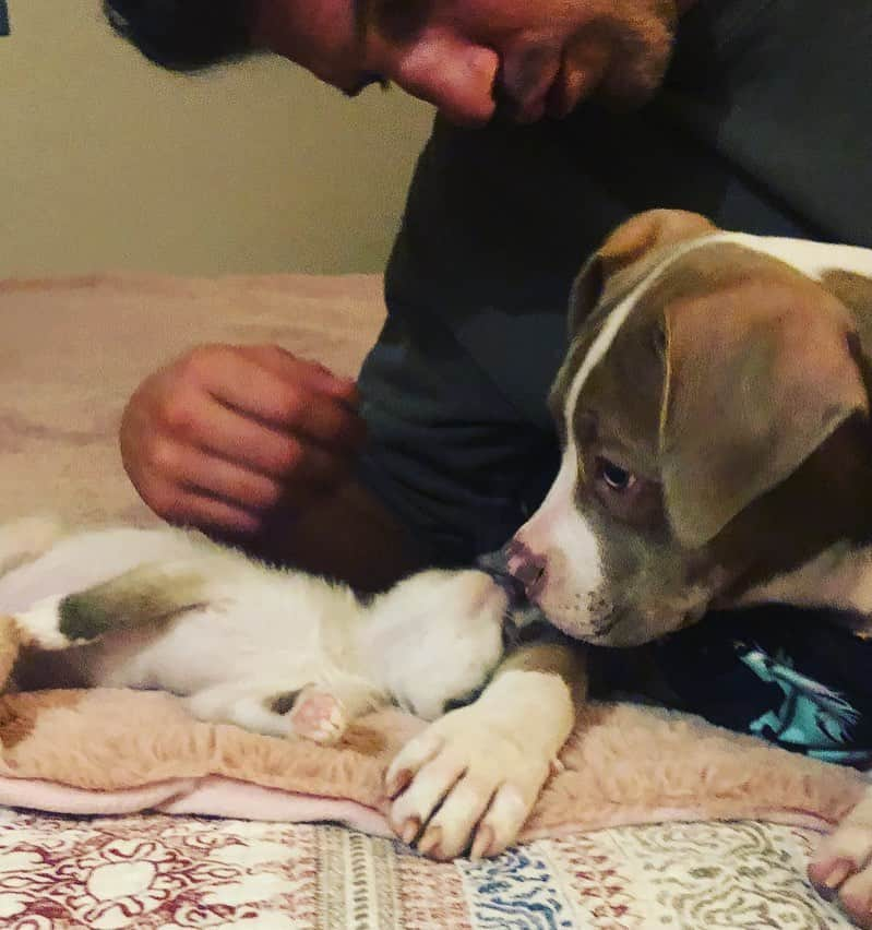 ジョン・バーンサルさんのインスタグラム写真 - (ジョン・バーンサルInstagram)「Kittens and puppies and shit.」11月5日 9時03分 - jonnybernthal