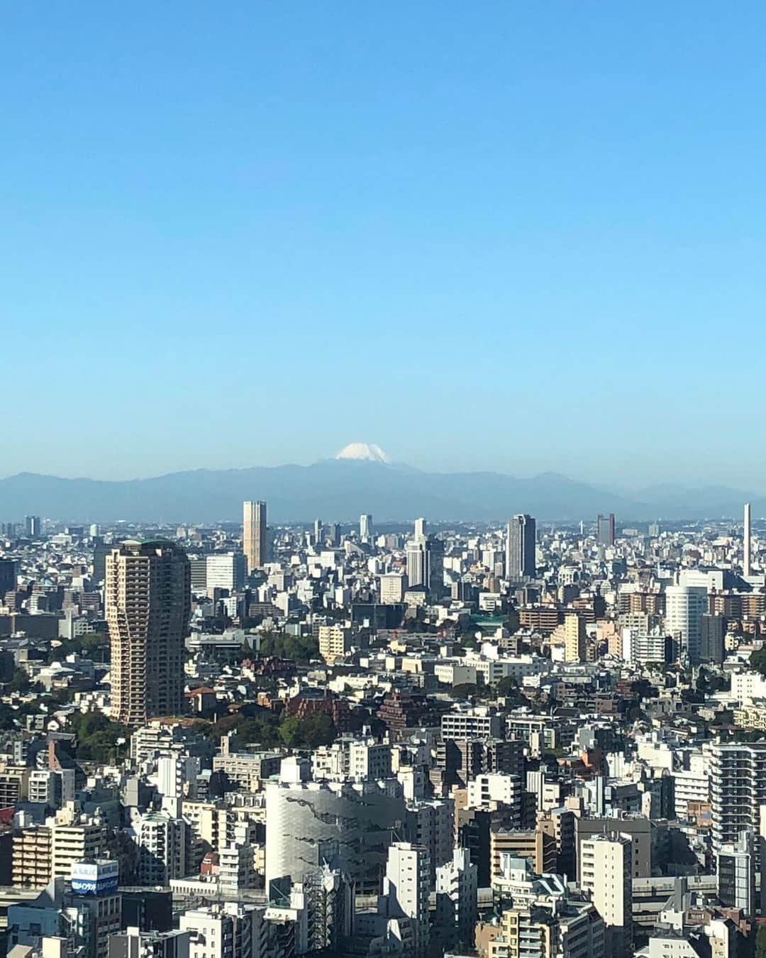 東京タワーさんのインスタグラム写真 - (東京タワーInstagram)「おはようございます☀  今朝の展望台からは 綺麗に富士山が見えています🗻  涼しくなるこれからの季節は 空気が澄んでいるので 富士山が見える日も多くなりそうです👀🗼 朝一の景色がオススメですので 皆様のご来塔をお待ちしております✨  #アテンダントインスタ部 #富士山 #東京タワー #tokyotower #tokyotower_official #東京 #tokyo #Japan #도쿄타워 #东京塔 #東京鐵塔 #东京」11月5日 9時17分 - tokyotower_official