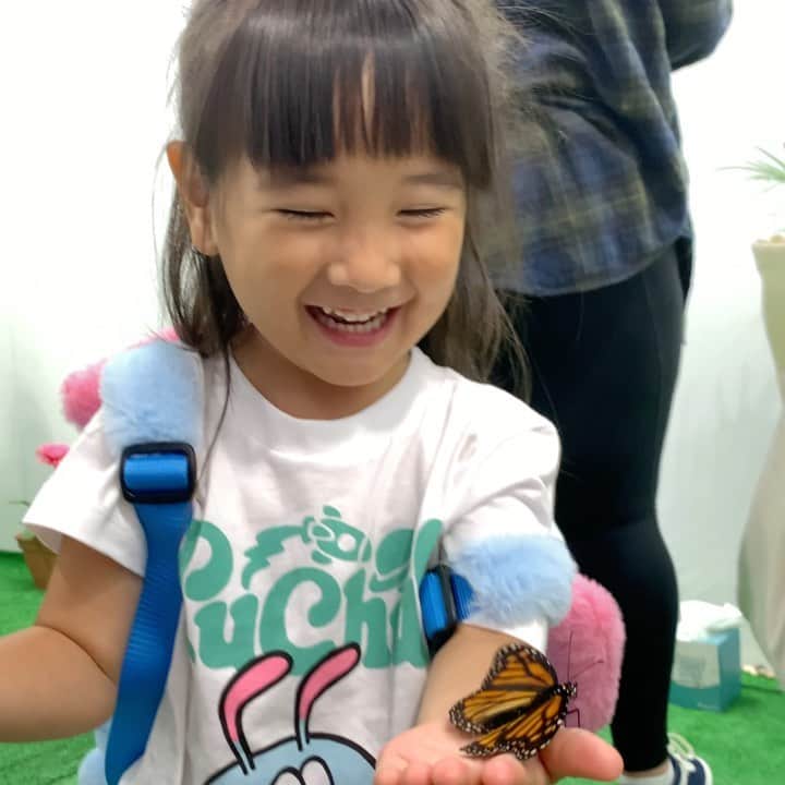 のインスタグラム：「虫が苦手な娘が、、 蝶々に触れるブースを見て、なんと自らやりたい！と言って入っていき蝶々を手にのせていました👏😳 . すごすぎる！ 旅での色んな経験が娘を成長させてくれています🥺✨ #日夕佳 #日夕佳ムービー #teruya旅　#complexcon #butterfly #🦋」