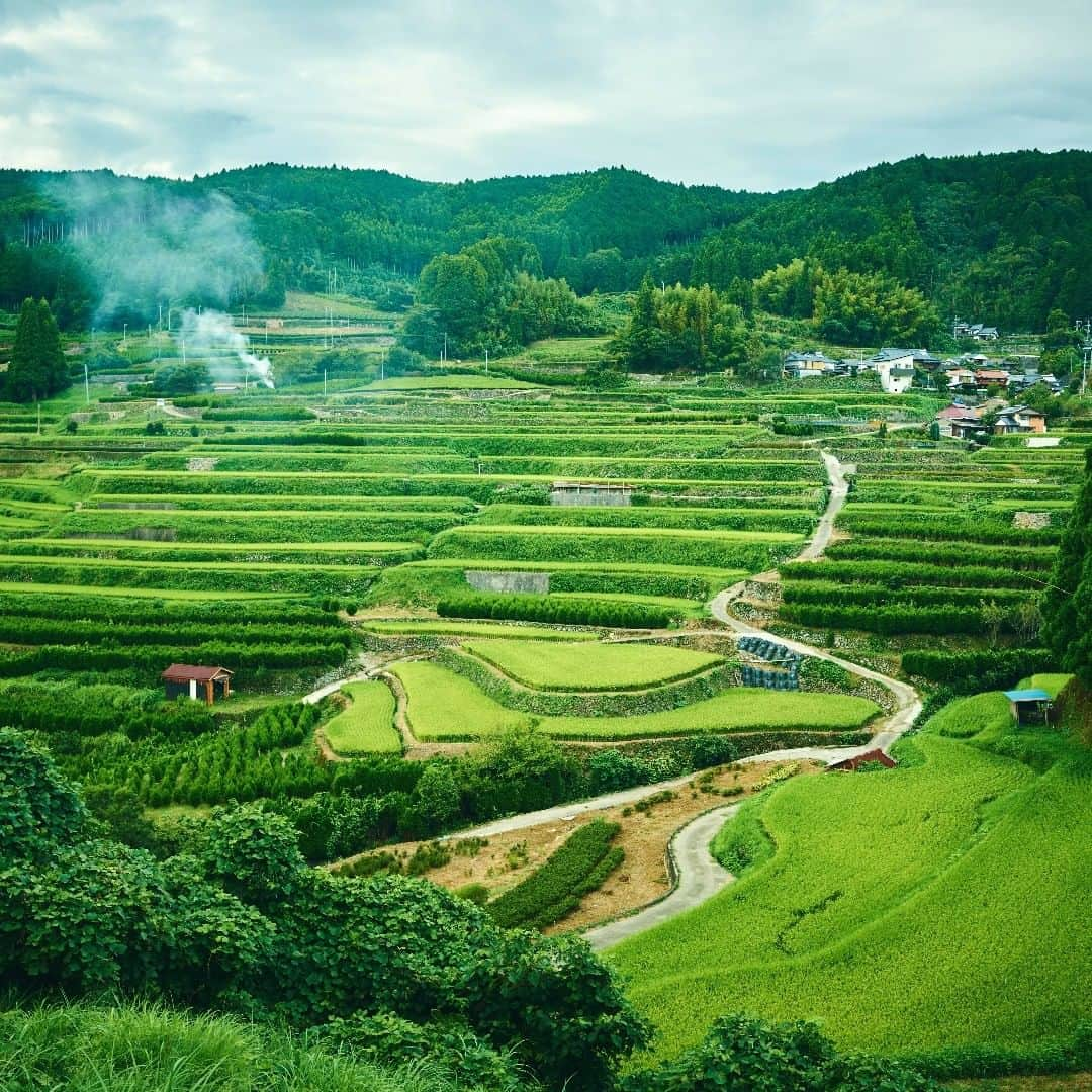 Birthplace of TONKOTSU Ramen "Birthplace of Tonkotsu ramen" Fukuoka, JAPANさんのインスタグラム写真 - (Birthplace of TONKOTSU Ramen "Birthplace of Tonkotsu ramen" Fukuoka, JAPANInstagram)「Looking for a local green tourism spot in Fukuoka? Hoshino Village can offer you exclusive nature experiences! Meet a mesmerizing view of rice terraces with 137 layers! ©Fukuoka Prefecture Tourist Association #fukuoka_tonkotsu #ilovefukuoka #fukuokalover #tanada #riceterrace #hoshinomura #hoshinovillage」11月5日 10時09分 - goodvibes_fukuoka