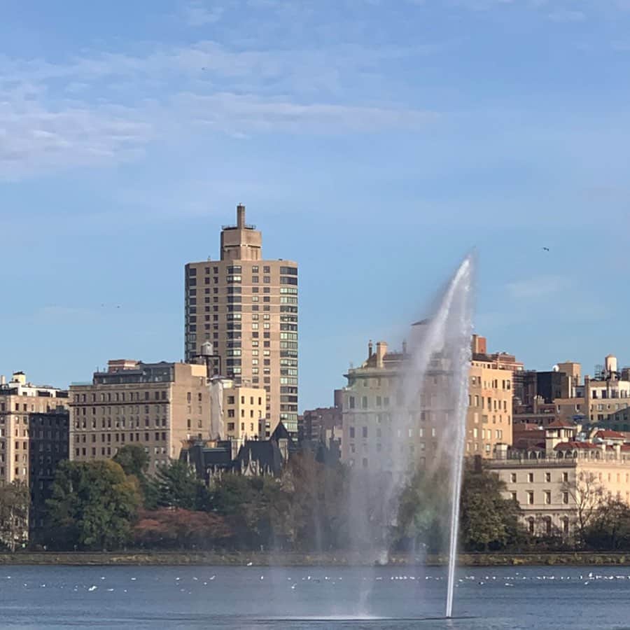 薮下柊さんのインスタグラム写真 - (薮下柊Instagram)「Here is where you can feel calmly 🌿 #ニューヨーク　#newyork #centralpark #autumn」11月5日 10時46分 - __yabushita_shu__