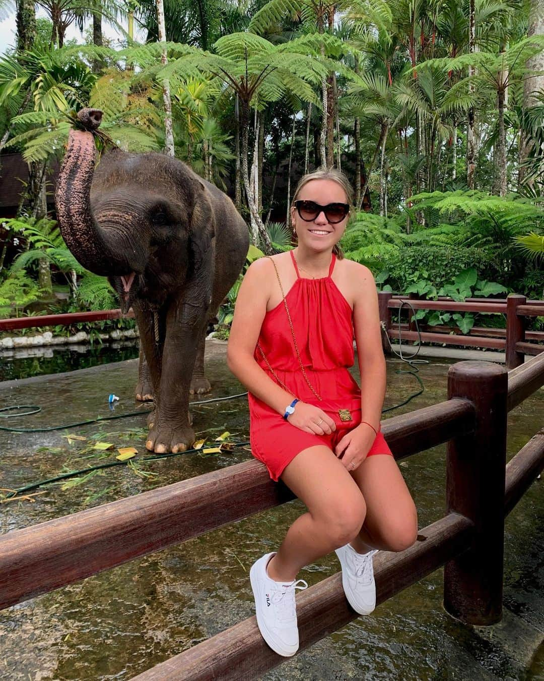 ソフィア・ケニンさんのインスタグラム写真 - (ソフィア・ケニンInstagram)「Chilling with locals 🤪🐒🐘」11月5日 20時29分 - sofia.kenin