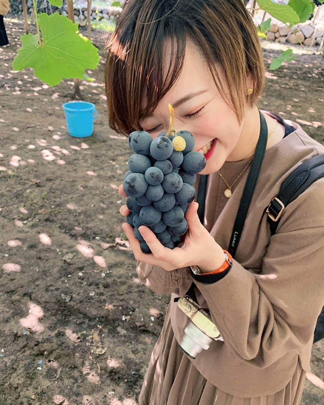 齊藤美沙貴さんのインスタグラム写真 - (齊藤美沙貴Instagram)「いきたかった、ぶどう狩りは リナと計画🍇 今月はリナのバースデーお祝いで 会えるの☺️❤️たのしみ❤️❤️」11月5日 20時44分 - misya_kids