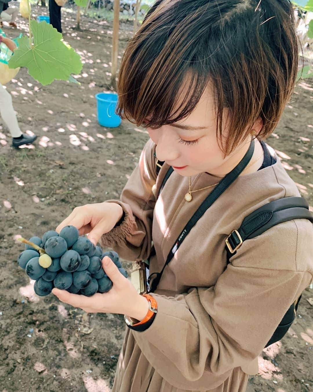 齊藤美沙貴さんのインスタグラム写真 - (齊藤美沙貴Instagram)「いきたかった、ぶどう狩りは リナと計画🍇 今月はリナのバースデーお祝いで 会えるの☺️❤️たのしみ❤️❤️」11月5日 20時44分 - misya_kids