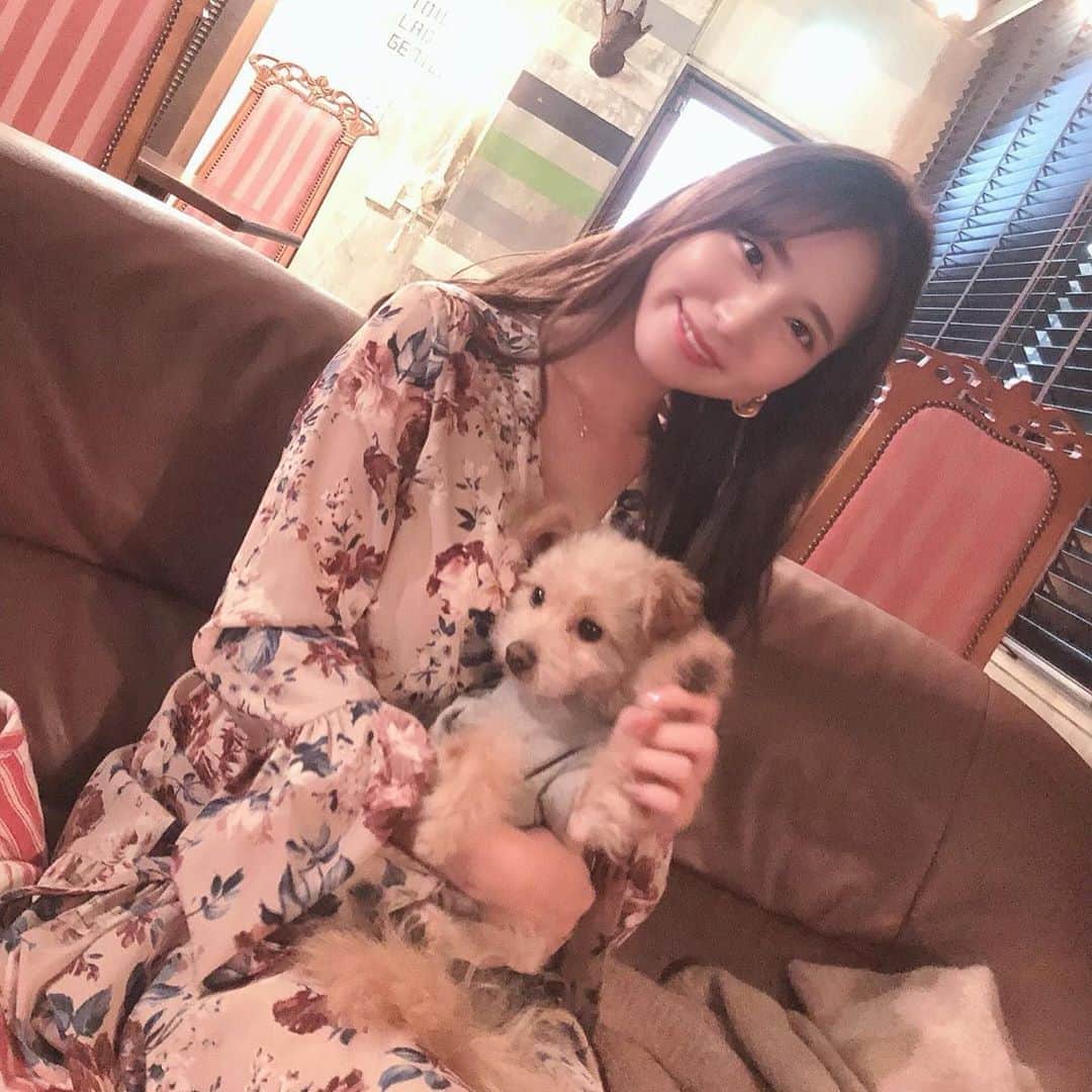 堀尾実咲のインスタグラム：「ロッたんお誕生日会🐻💋 大好きなぽんたろーちゃんに会えて、大好きなチーズケーキ食べて幸せそうだった🎂」