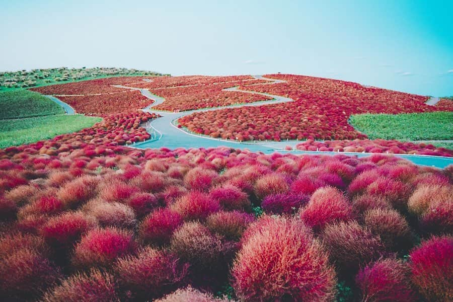 kenta_soyoungさんのインスタグラム写真 - (kenta_soyoungInstagram)「RED&BLUE」11月5日 12時56分 - kenta_soyoung