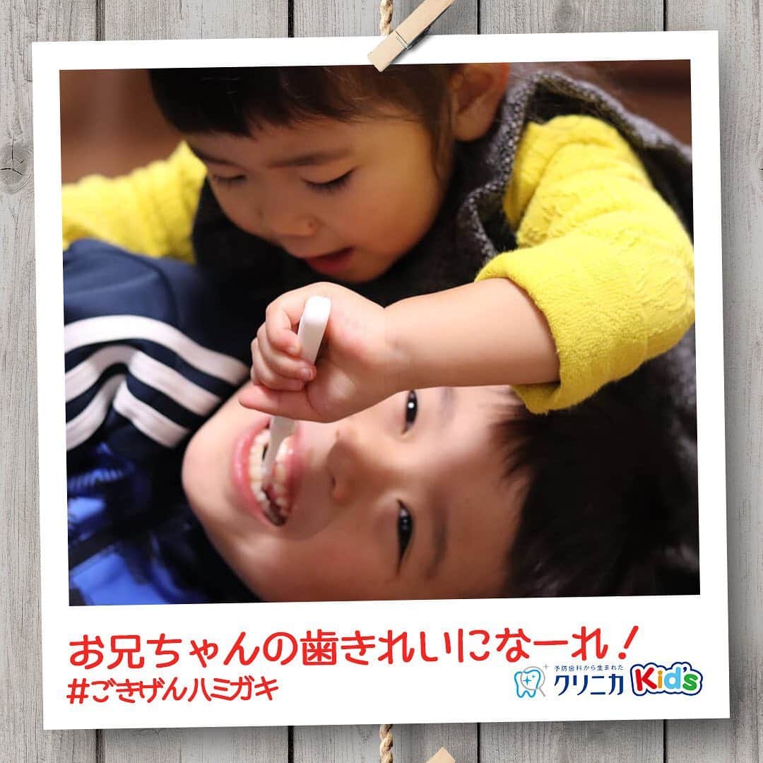 クリニカではじめよう予防歯科のインスタグラム：「今日の#ごきげんハミガキ♪﻿ ﻿ 皆さんこんにちは♪﻿ 今日は @kanaeeeeeeyhsa さんの#ごきげんハミガキ です！﻿ ﻿ 妹ちゃんに仕上げみがきをしてもらって、終始ご満悦なお兄ちゃん。﻿ 思わず笑みがこぼれます☺﻿ ﻿ 仕上げみがきもできるようになった妹ちゃんの成長にママも嬉しいですね✨ ﻿ ﻿ ----------------------﻿ #ごきげんハミガキ の投稿を募集中！﻿ クリニカKid’s公式アカウントでご紹介させていただきます♪﻿ ---------------------- ﻿ ﻿ #クリニカ #クリニカキッズ #歯磨き #歯みがき #はみがき #ハミガキ #歯みがきタイム #歯磨き中 #育児 #育児日記 #育児記録 #子育て #子育て記録 #こども #仲良しきょうだい #子供の成長 #成長記録 #成長 #日々 #ママライフ #親バカ部 #親バカ日記 #子供のいる暮らし #子育てのシェア ＃ママカメラ」