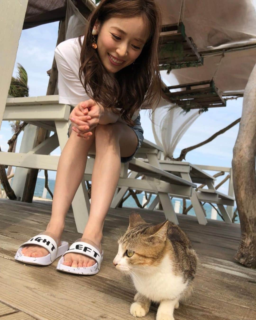 泉里香さんのインスタグラム写真 - (泉里香Instagram)「友達できた🐈💕」11月5日 14時22分 - rika_izumi_