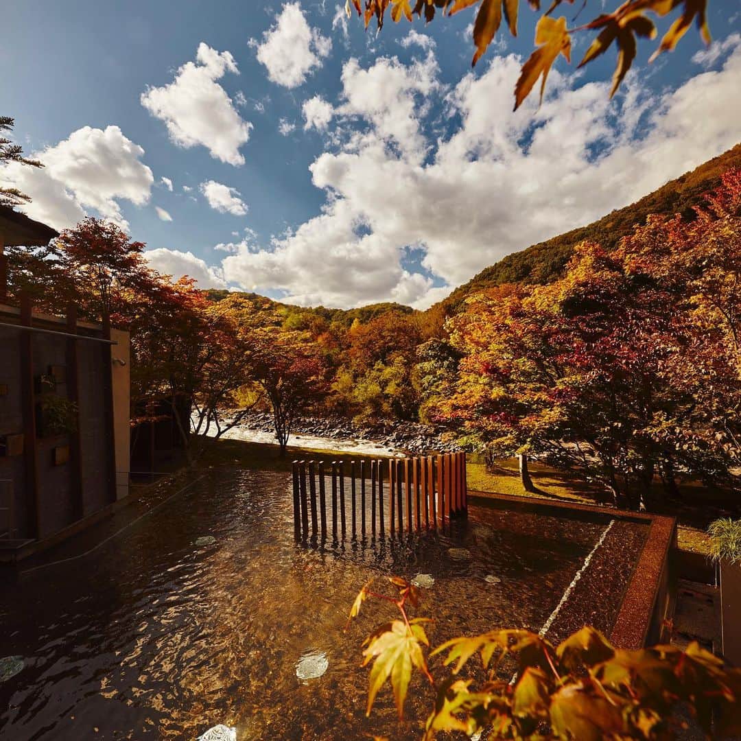 星野リゾートさんのインスタグラム写真 - (星野リゾートInstagram)「【秋の風物詩・紅葉温泉】﻿ ﻿ A hot spring bath enveloped in the rich golds and scarlets of autumn leaves is a seasonal must-try experience in Japan.﻿ ﻿ 秋にぜひ楽しんでいただきたいのが、紅葉を眺めながらゆっくりと入る露天風呂です。奥入瀬渓流周辺ではここでしか見ることのできない、目の前を流れる渓流や滝、様々な木々が織り成す紅葉を眺めなが﻿ら、開放感溢れる浴場で心身ともに癒される湯浴みを楽しむことができます。﻿ ﻿ 奥入瀬渓流ホテルの「渓流露天風呂」やホテルからシャトルバスで5分程のところにある「八重九重の湯」では秋になると、露天風呂の周りを囲む木々が黄色や深紅色に染まり、それぞれが混ざり合い、見事な紅葉に包まれます。11月は今しか楽しめない紅葉と露天風呂を堪能するのはいかがでしょうか。﻿ ﻿ #HoshinoResorts #星野リゾート #奥入瀬渓流ホテル #OiraseKeiryuHotel #Aomori #Towada #Oirase #青森県 #十和田市 #奥入瀬渓流 #青森温泉 #青森旅行 #aomoritrip #luxuryresort #JapaneseHotels #Hotspring #Onsen #travelJapan #ig_Japan #MyTinyAtlas #JapanTravel #紅葉 #紅葉2019 #紅葉狩り #八重九重の湯」11月5日 14時39分 - hoshinoresorts.official