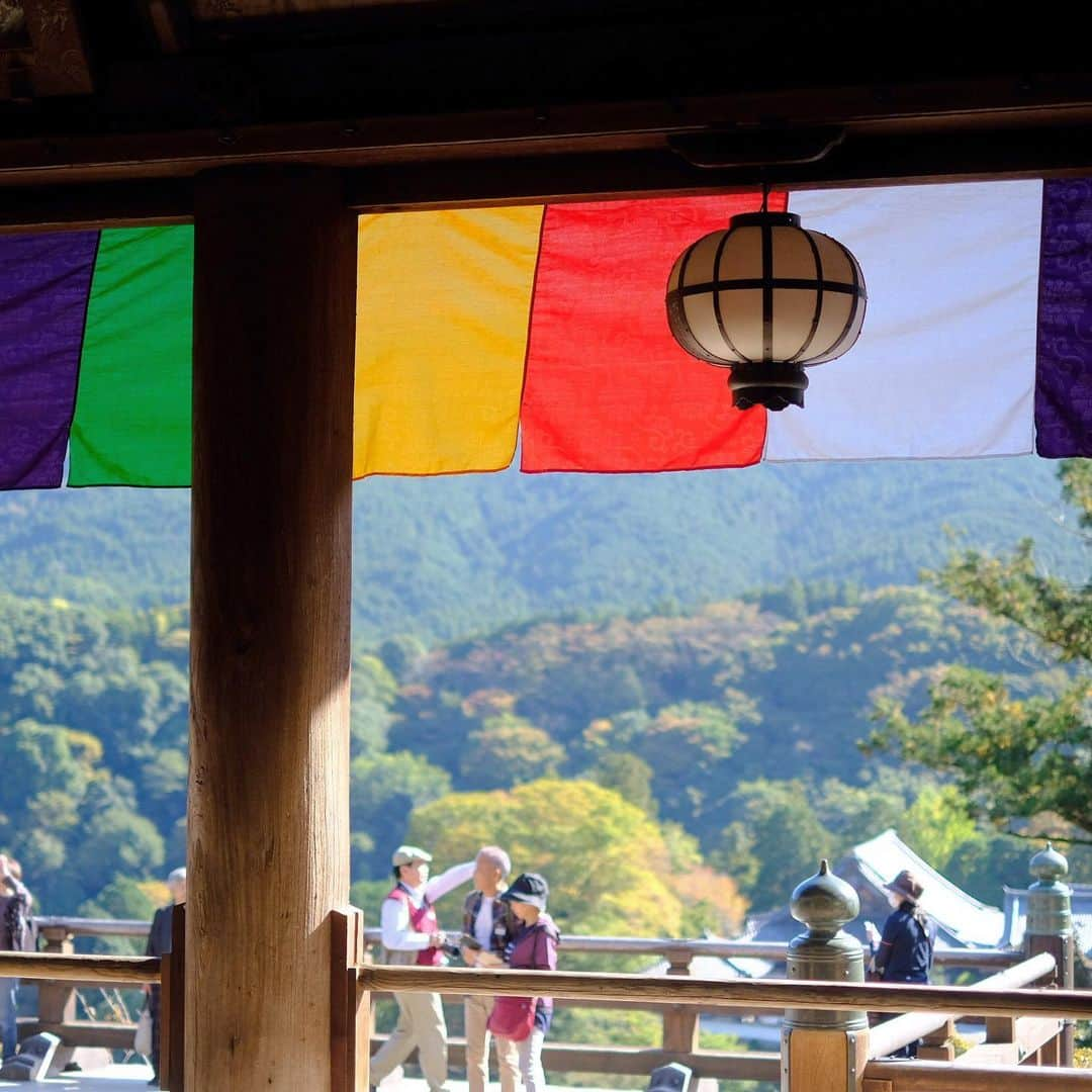 奈良 長谷寺 / nara hasederaのインスタグラム