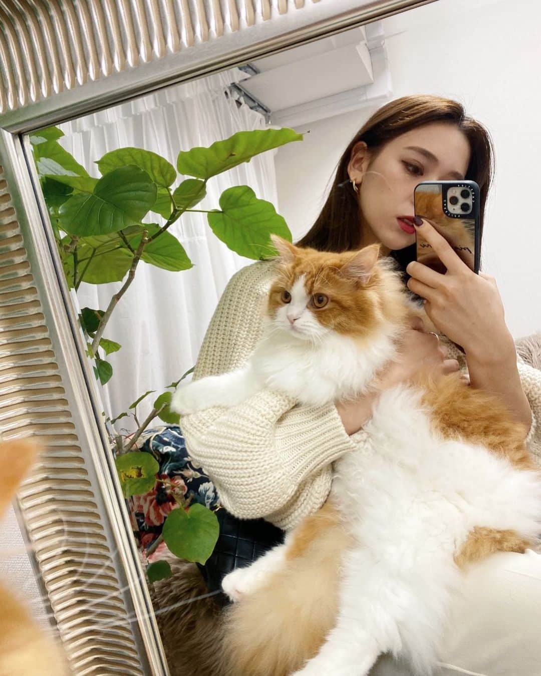古川貴絵さんのインスタグラム写真 - (古川貴絵Instagram)「piqué ❤︎ 抱っこ大好きにゃんこ🥺 #nyanstagram #cat #catstagram #猫」11月5日 21時44分 - _kiegram