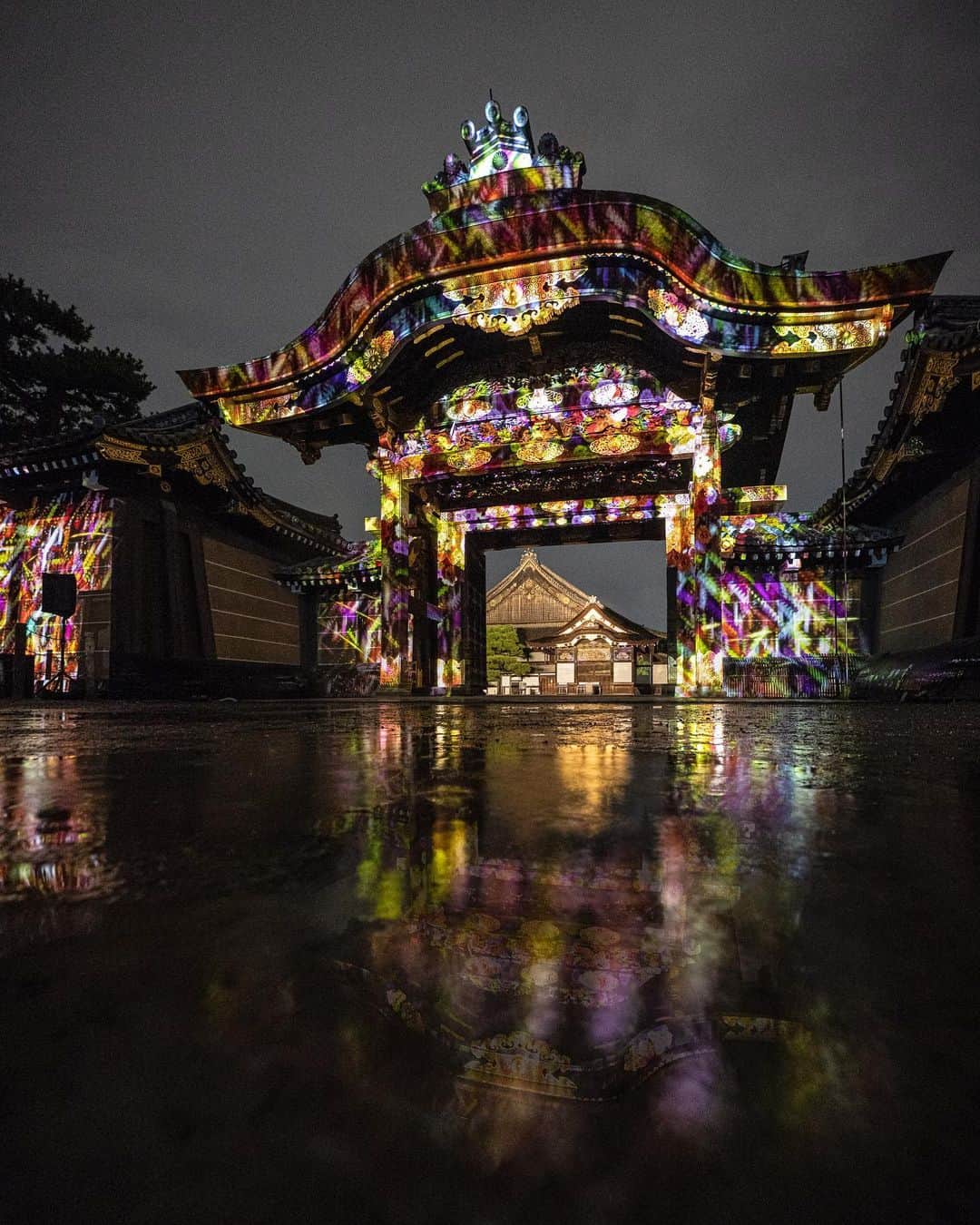 関西電力株式会社さんのインスタグラム写真 - (関西電力株式会社Instagram)「京都市中京区にある世界遺産・元離宮二条城では、世界遺産登録25周年を記念した花の体感型アート展が現在開催中です。 プロジェクションマッピングを活用した、ストーリー性のある幻想的な花々の世界をお楽しみください。 ※写真は2019年に撮影したものです --------------- ■イベント情報 「世界遺産登録25周年記念 FLOWERS BY NAKED 2019 ー京都・⼆条城ー」 日時：2019年10⽉26⽇(⼟)〜12⽉8⽇(⽇) 17:45〜22:00(受付開始 17:30 / 最終入場 21:00) ■アクセス 京都市営地下鉄「二条城前駅」から徒歩すぐ JR嵯峨野線「二条駅」徒歩約17分 京都市バス「二条城前」徒歩すぐ --------------- . #japan_night_view #プロジェクションマッピング  #flowersbynaked #夜景ら部 #古都京都の文化財 #そうだ京都行こう #京都#世界遺産 #二条城 #二条城ライトアップ #城巡り #絶景 #love_bestjapan #unknownjapan #loves_united_japan#カメラのある生活  #日本の風景 #ダレカニミセタイケシキ #bestphoto_japan #art_of_japan_ #貴重な体験 #景色最高 #tripgramjp #写真は心のシャッター#その旅に物語を#best_moments_shots#日帰り旅行  #お写んぽ#お写ん歩 #インスタスポット」11月5日 16時57分 - kanden.jp