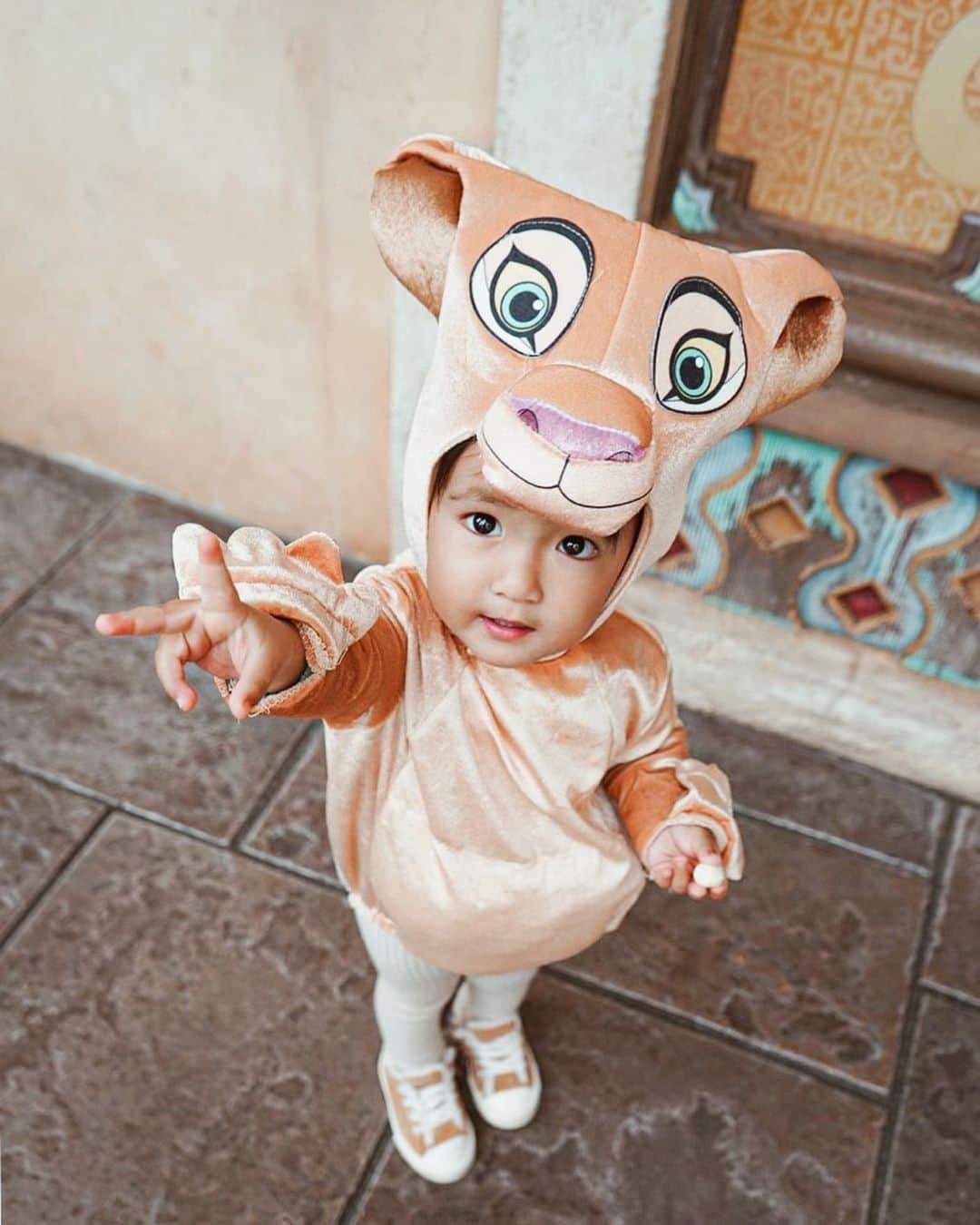 孫きょうさんのインスタグラム写真 - (孫きょうInstagram)「🦁✌🏼❤️﻿ ﻿ ﻿ #halloween #Lionking #nala #simba #disney #disneyhalloween #tokyodisneysea #disneysea #disneyland  #Dハロ」11月5日 17時18分 - sonkyou1013