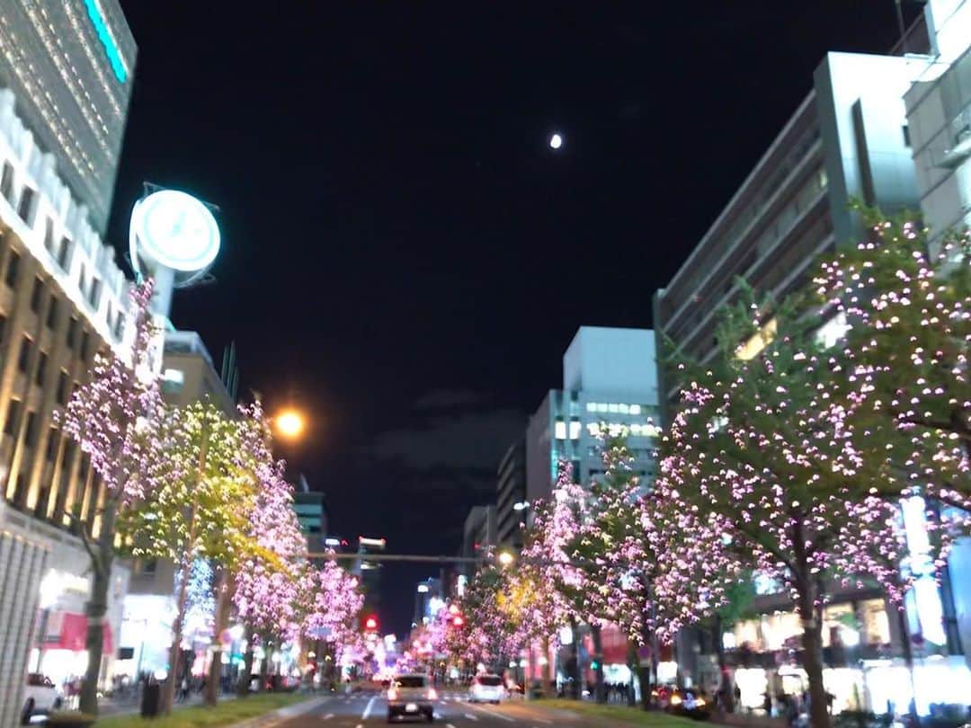 桂のインスタグラム：「御堂筋イルミネーション２０１９  #midosujiillumination #midosujiillumination2019  #festivalofthelights #festivalofthelightsinosaka #festivalofthelightsinosaka2019 #street #nightsight #illumination #moon #luna #streetlight #cityscape #landscape #御堂筋イルミネーション　#御堂筋イルミネーション2019 #光の饗宴 #大阪光の饗宴 #大阪光の饗宴2019 #御堂筋 #夜景 #月 #街角 #景 #昨夜外へ出てみると唐突にイルミネーションでちょいと驚いたので」