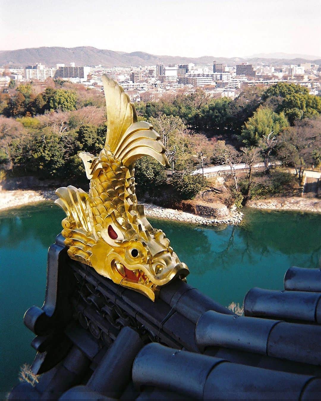 東京DANDYのインスタグラム：「From #DisposablesBook… Shachihoko, mythical creatures part-fish/part-tiger, adorn castles throughout Japan. It was believed that they had the ability to summon water to quell fires, but these folklores proved futile beneath falling bombs dropped during World War II.  日本各地の城を飾り立てる半魚半虎の鯱鉾。鯱鉾には水を呼び出し火事を鎮める力が あると信じられていたが、神話虚しく、第二次世界大戦の空襲を鎮めることはできな かった。  #Okayama #Sachihoko #鯱鉾 #DisposableCamera #使い捨てカメラ #War #Myth #Folklore #Water #Tiger」